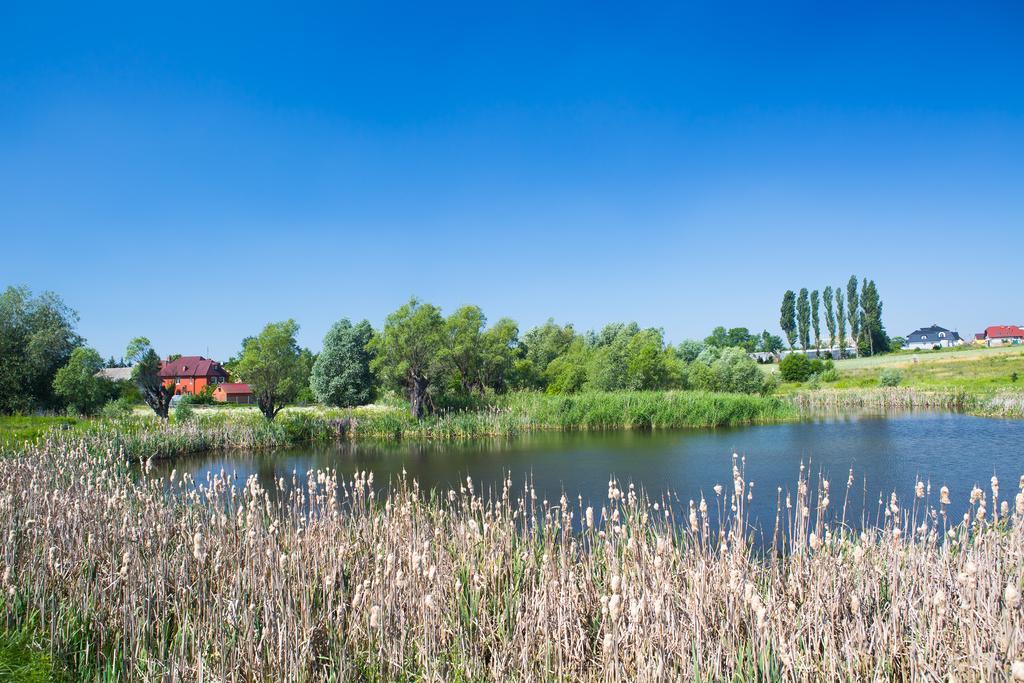 Zloty Staw Bed & Breakfast Borkowo  Bagian luar foto